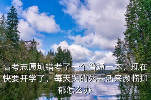 高考志愿填錯考了一個普通一本，現在快要開學了，每天哭的死去活來瀕臨抑郁怎么辦