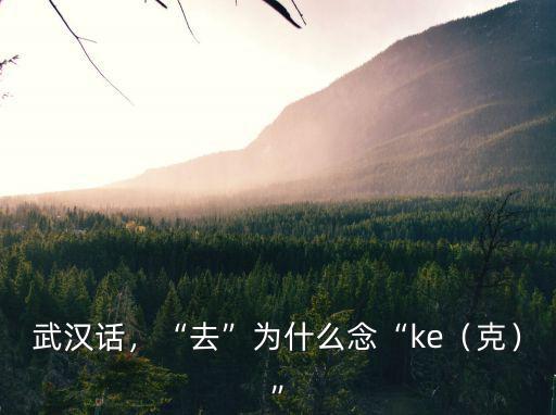 真享受武漢話(huà)怎么說(shuō),武漢人究竟說(shuō)的是什么話(huà)