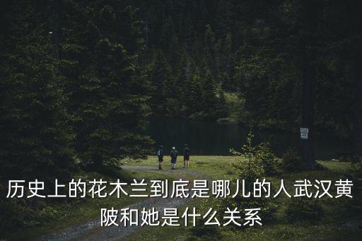歷史上的花木蘭到底是哪兒的人武漢黃陂和她是什么關系