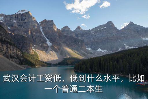 武漢會(huì)計(jì)工資低，低到什么水平，比如一個(gè)普通二本生