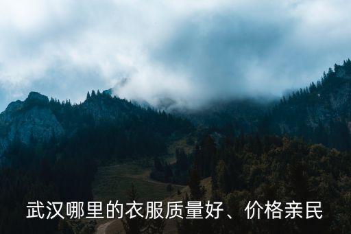 武漢橫店的環(huán)境怎么樣,武漢黃陂區(qū)的發(fā)展趨勢怎么樣
