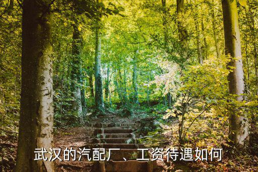 武漢林駿汽配廠怎么樣,武漢東風汽配廠待遇怎么樣