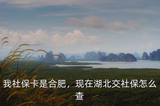 我社?？ㄊ呛戏?，現在湖北交社保怎么查