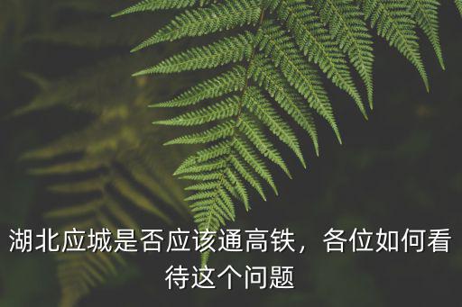 湖北應城是否應該通高鐵，各位如何看待這個問題