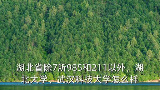 湖北省除7所985和211以外，湖北大學、武漢科技大學怎么樣