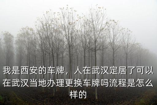 車牌是武漢的怎么轉(zhuǎn)成東莞的,我是西安的車牌