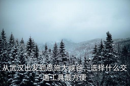 武漢到恩陽怎么選交通工具,從武漢到新疆游玩