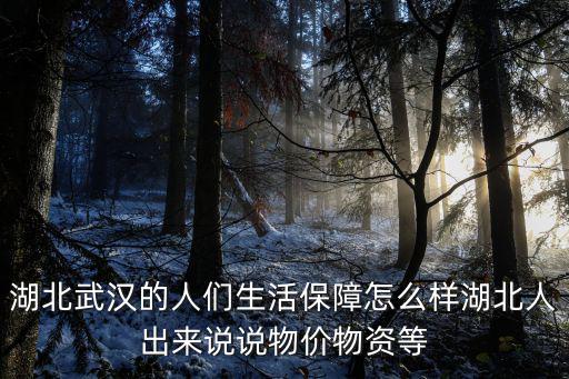 湖北武漢的人們生活保障怎么樣湖北人出來說說物價物資等
