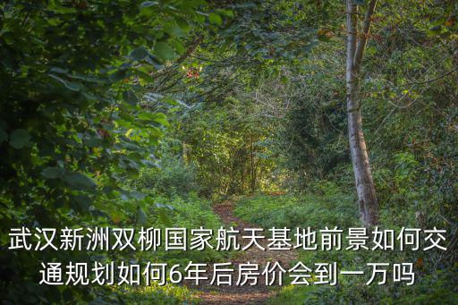 武漢新洲雙柳國家航天基地前景如何交通規(guī)劃如何6年后房價會到一萬嗎