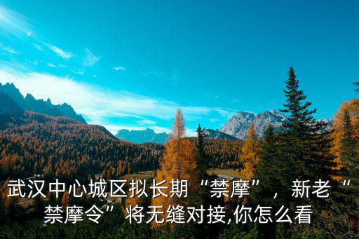 怎么艾特武漢交警,微信武漢交警怎么用不了
