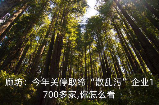 廊坊：今年關(guān)停取締“散亂污”企業(yè)1700多家,你怎么看