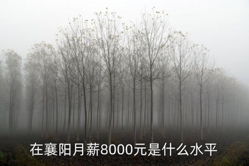 在襄陽(yáng)賺不到錢怎么辦,自己在外面賺不到錢