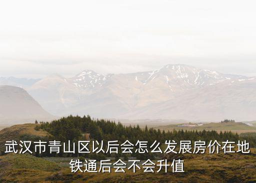 武漢市青山區(qū)17小怎么樣,武漢青山區(qū)的房子怎么樣