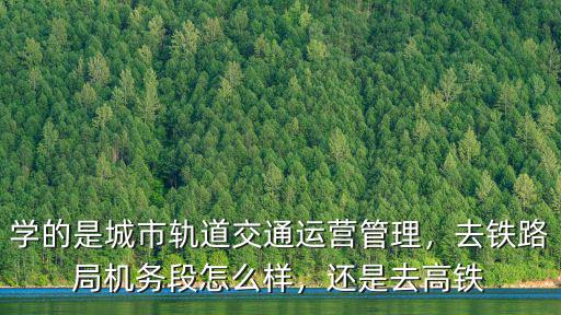 武漢鐵路局路段維修工怎么樣,去鐵路局機務段怎么樣