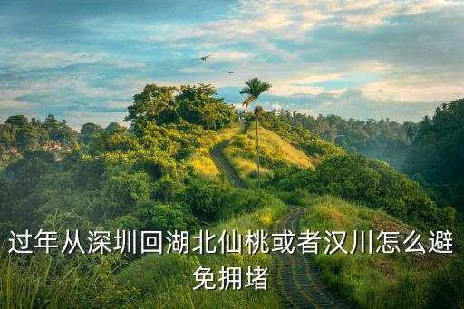 過年從深圳回湖北仙桃或者漢川怎么避免擁堵