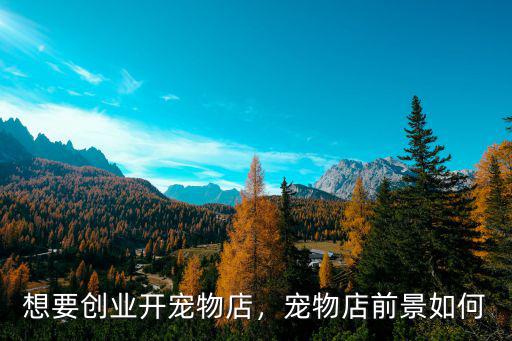 想要創(chuàng)業(yè)開寵物店，寵物店前景如何