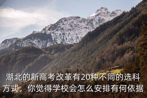 湖北的新高考改革有20種不同的選科方式，你覺得學校會怎么安排有何依據
