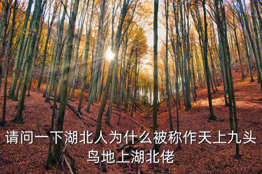 天上九頭鳥地上湖北佬是怎么來的,俗語天上九頭鳥