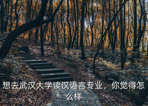 武漢大學(xué)的漢碩怎么樣,你覺得怎么樣