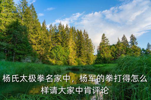 楊氏太極拳名家中，楊軍的拳打得怎么樣請大家中肯評論