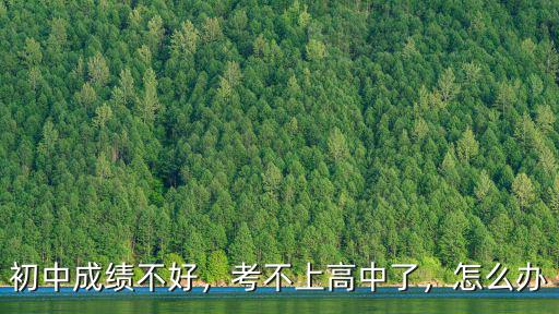 湖北黃石中學生考不上高中怎么辦,中學生考不上高中怎么辦