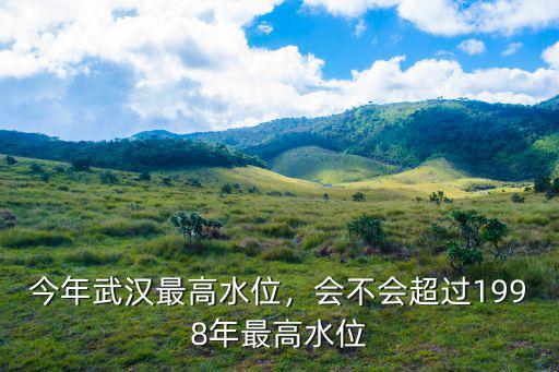 武漢今天的水位怎么樣,今年武漢最高水位