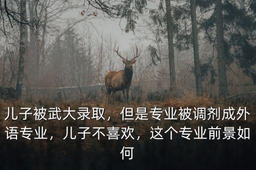 兒子被武大錄取，但是專業被調劑成外語專業，兒子不喜歡，這個專業前景如何