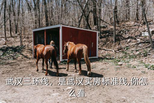 武漢天興洲怎么規劃,武漢天興洲為什么會漂移