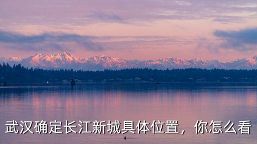 武漢確定長江新城具體位置，你怎么看