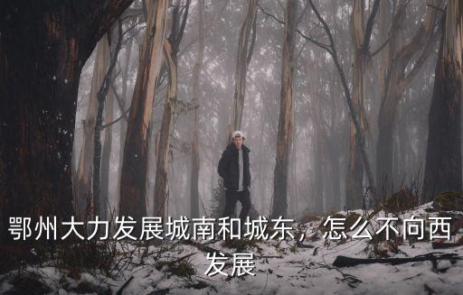 鄂州大力發展城南和城東，怎么不向西發展