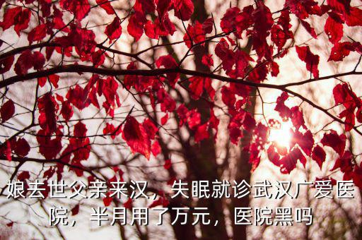 娘去世父親來漢，失眠就診武漢廣愛醫院，半月用了萬元，醫院黑嗎