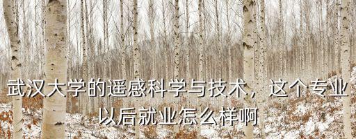 武漢大學的遙感科學與技術(shù)，這個專業(yè)以后就業(yè)怎么樣啊
