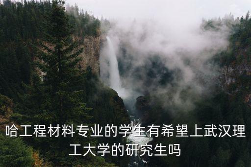 哈工程材料專業(yè)的學(xué)生有希望上武漢理工大學(xué)的研究生嗎