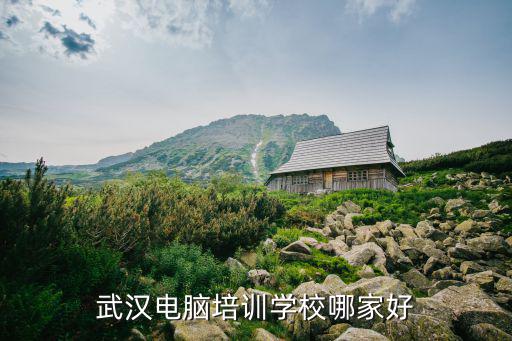 武漢厚溥it學院怎么樣,武漢生物工程學院怎么樣