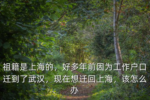 上海人在湖北怎么回上海,祖籍是上海的