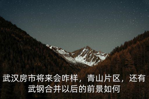 武漢房市將來會咋樣，青山片區(qū)，還有武鋼合并以后的前景如何