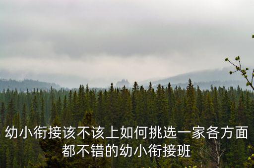 武漢億童幼小銜接工作怎么樣,幼小銜接到底銜接什么