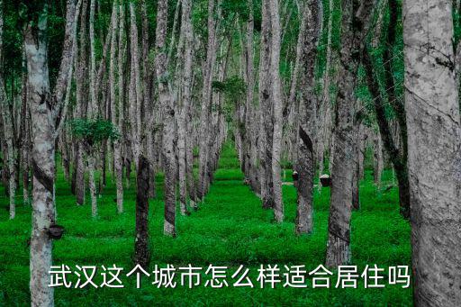 武漢李子湖怎么樣,武漢這個城市怎么樣