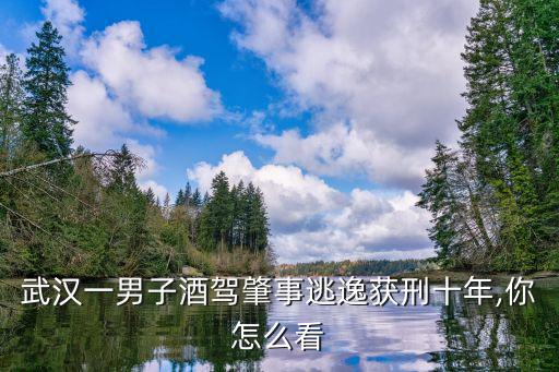 武漢一男子酒駕肇事逃逸獲刑十年,你怎么看