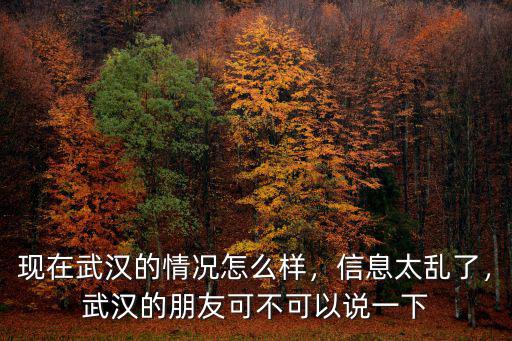現在武漢的情況怎么樣，信息太亂了，武漢的朋友可不可以說一下