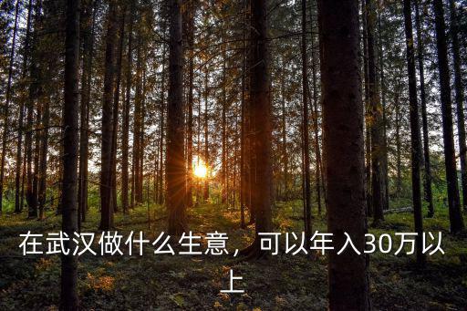 在武漢做什么生意，可以年入30萬以上