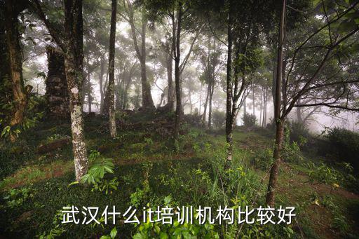 武漢什么it培訓機構比較好