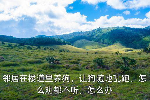 樓道里養狗怎么處理武漢土狗,鄰居在樓道里養狗