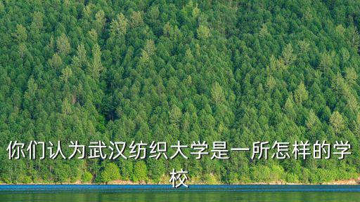 你們認為武漢紡織大學是一所怎樣的學校