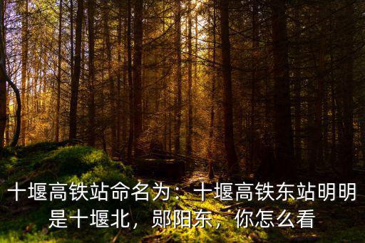 十堰高鐵站命名為：十堰高鐵東站明明是十堰北，鄖陽東，你怎么看