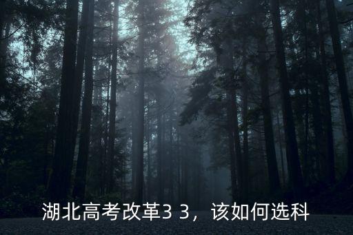 湖北高考改革3 3，該如何選科