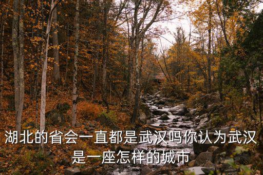 湖北的省會一直都是武漢嗎你認為武漢是一座怎樣的城市