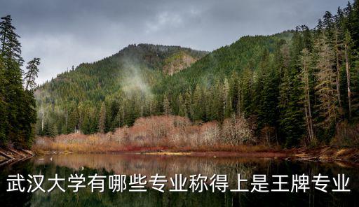 武漢大學有哪些專業稱得上是王牌專業