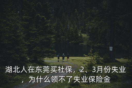 湖北省失業(yè)金怎么申請(qǐng)領(lǐng)取,怎么可以領(lǐng)取失業(yè)保險(xiǎn)金
