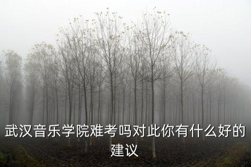 武漢音樂學院難考嗎對此你有什么好的建議